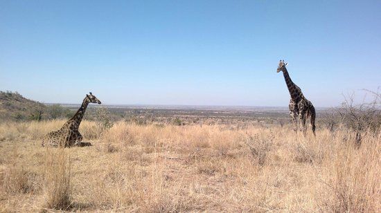 Kgaswane Nature Reserve